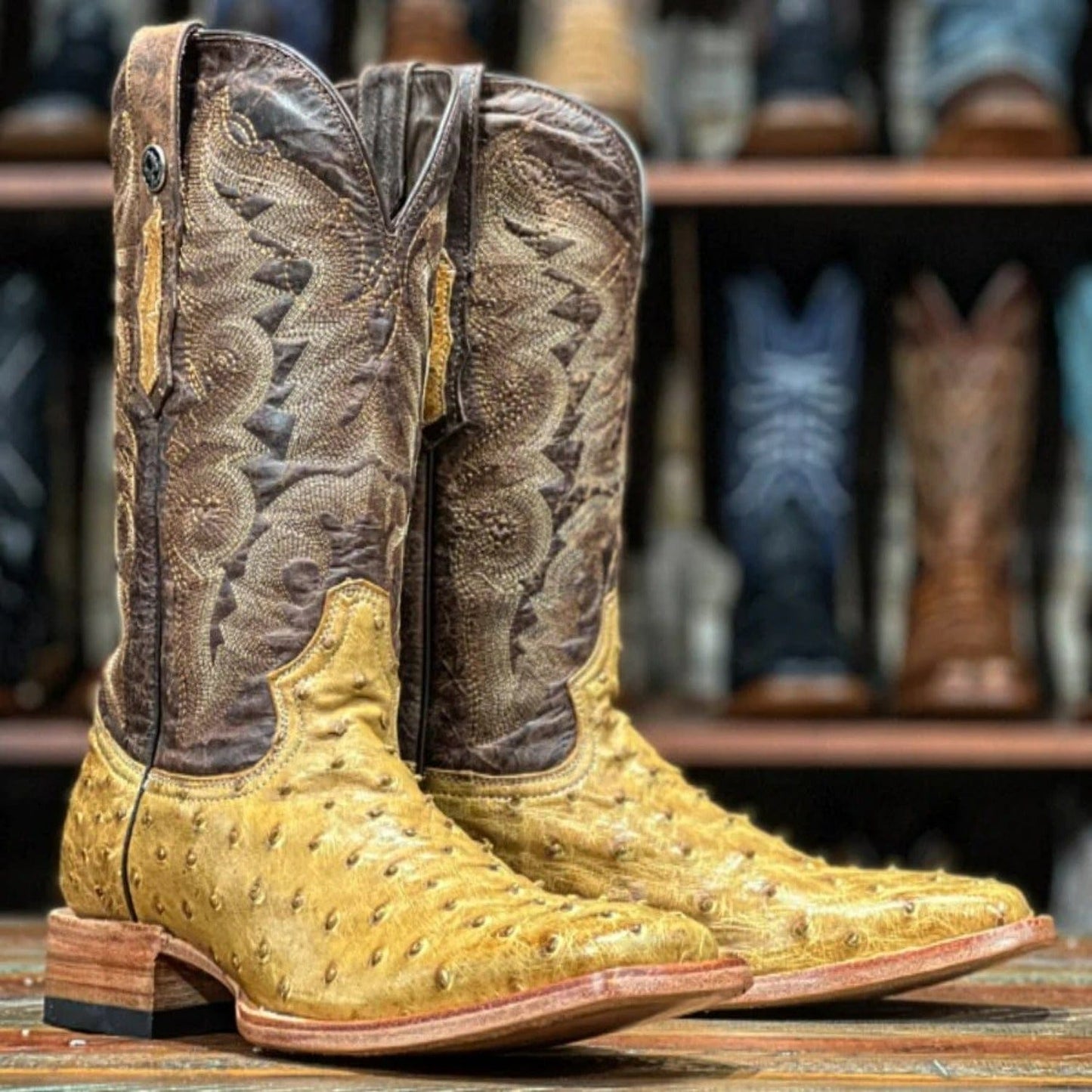 Tanner Mark Boots Boots Tanner Mark Men's Genuine Full Quill Ostrich Square Toe Boots MD Saddle TMX200480