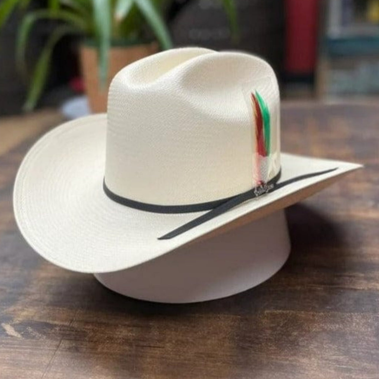 Tombstone Sombrero Sombrero Tombstone 100X Estilo Sinaloa con Plumas Ala 3"