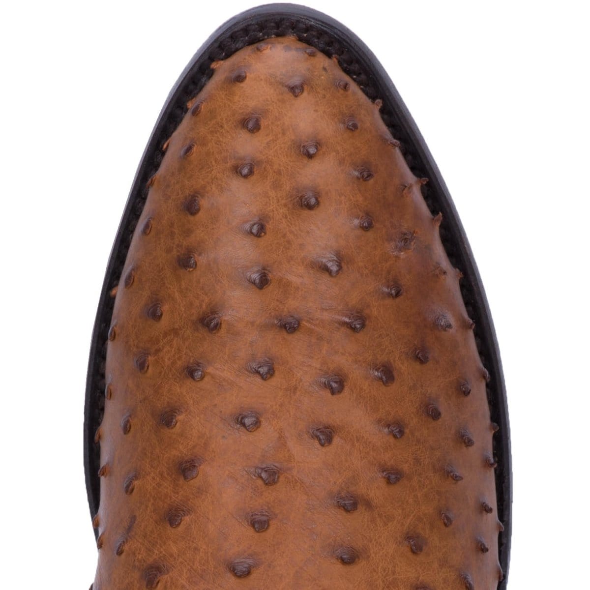 Dan Post Boots Boots Dan Post Men&#39;s Tempe Full Quill Ostrich Round Toe Boots - Saddlebrown