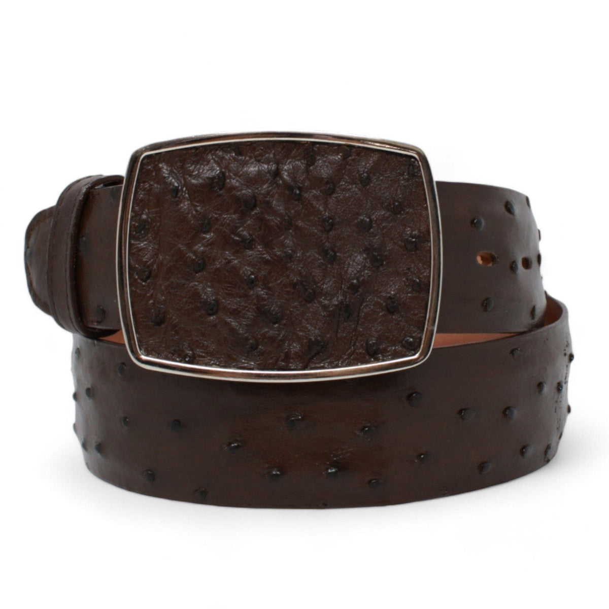 Los Altos Boots Belts Brown / 32 Men&#39;s Los altos Ostrich Cowboy Belt