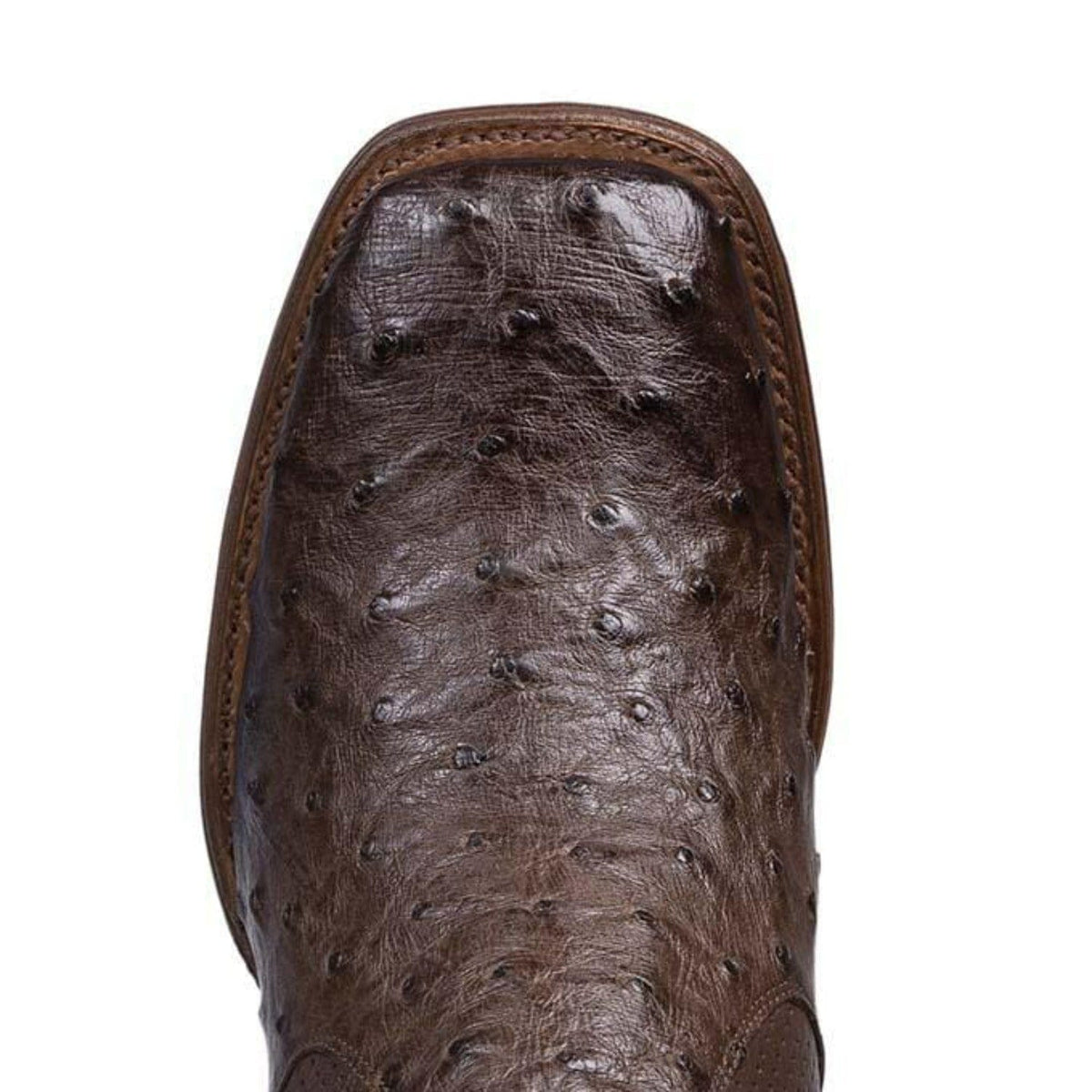 Los Altos Boots Boots Los Altos Men&#39;s Wide Square Toe Ostrich Short Boots - Brown 82BV0359