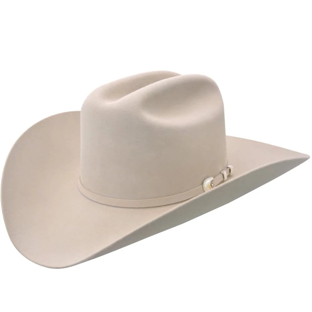 Stetson Hats Stetson Shasta 10X Cowboy Hat - Silverbelly