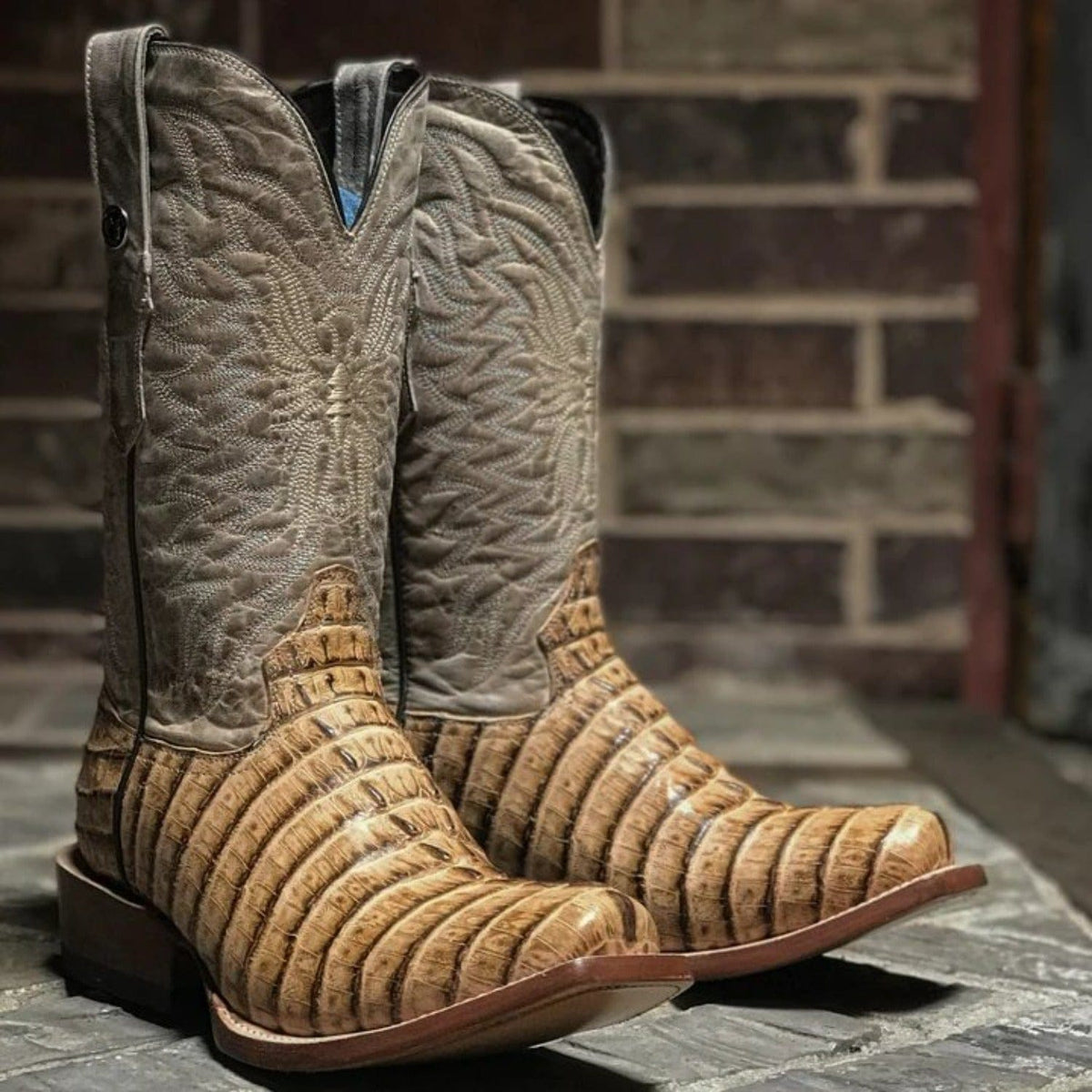 Tanner Mark Boots Boots Tanner Mark Men&#39;s Print Caiman Tail Square Toe Boots Oryx TM207509