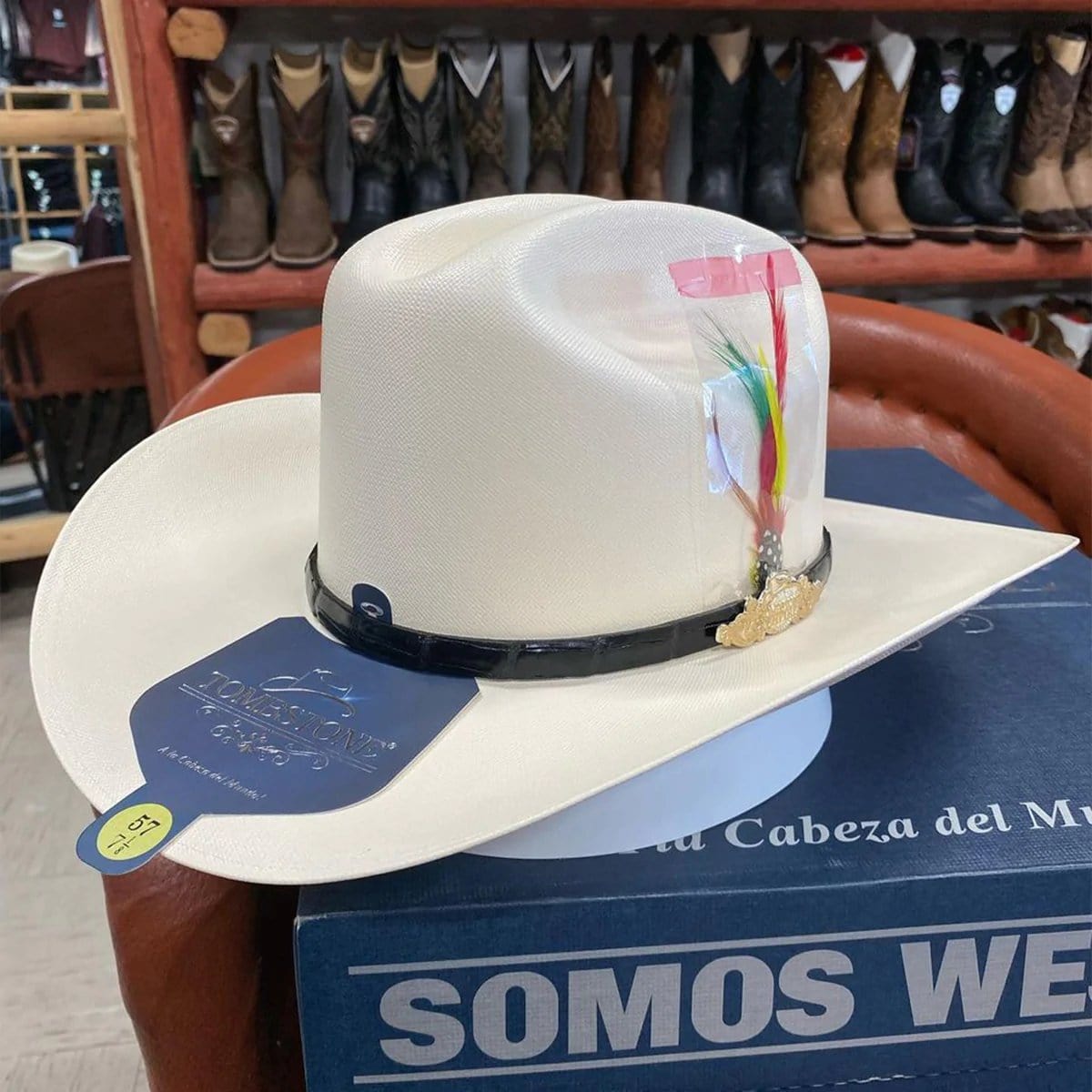 Tombstone Sombrero Sombrero Tombstone 10,000X Estilo Sinaloa con Plumas Ala 3 1/2&quot;